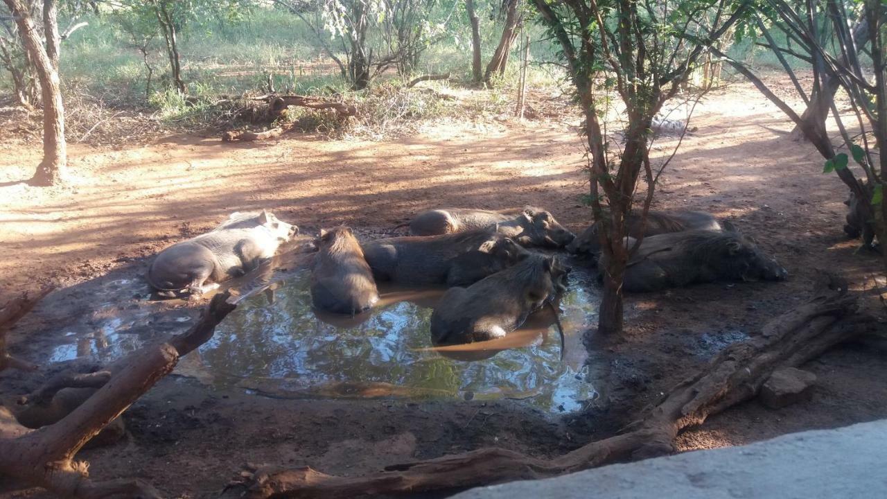 Aloes Bush Stay Hoedspruit Esterno foto