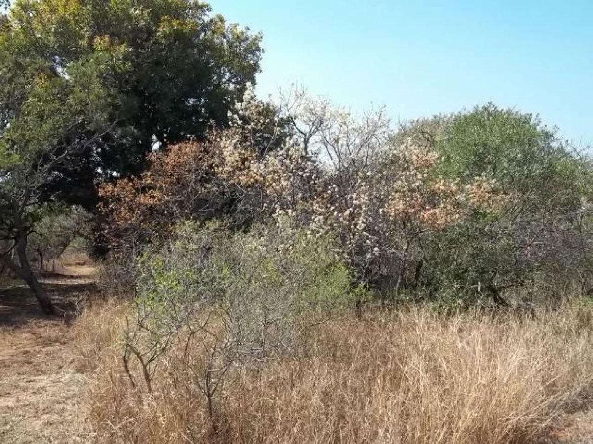 Aloes Bush Stay Hoedspruit Esterno foto