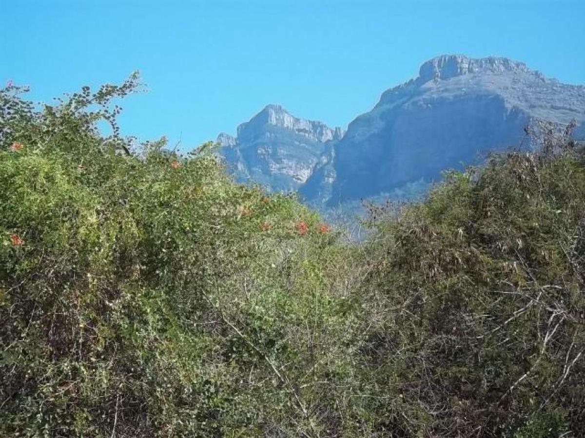 Aloes Bush Stay Hoedspruit Esterno foto