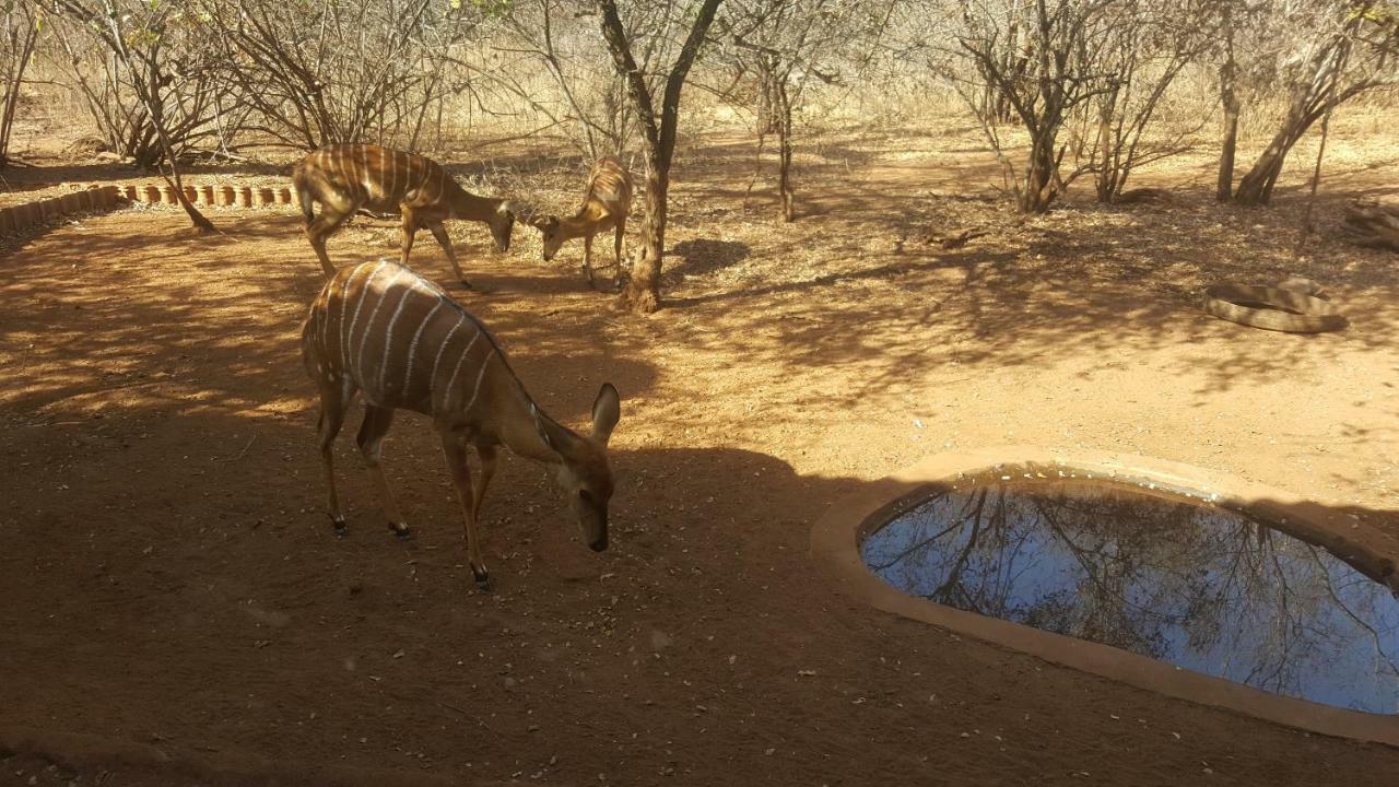 Aloes Bush Stay Hoedspruit Esterno foto