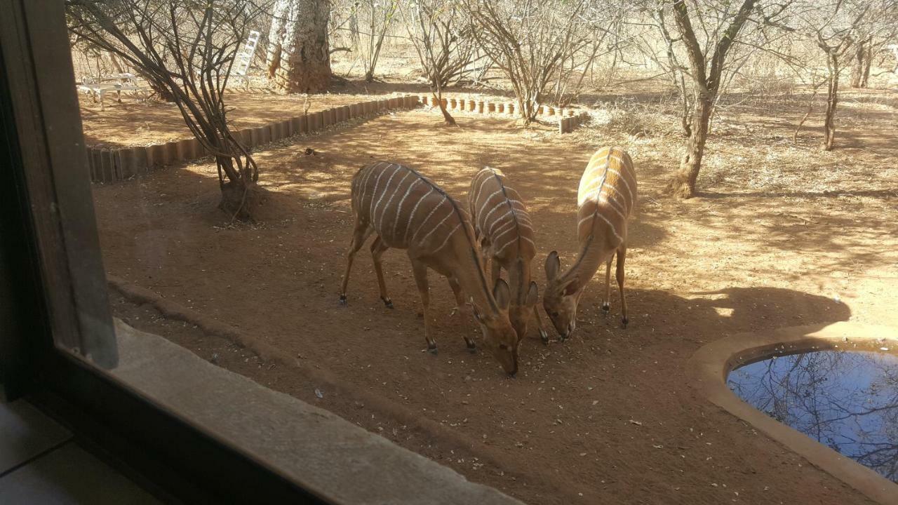 Aloes Bush Stay Hoedspruit Esterno foto